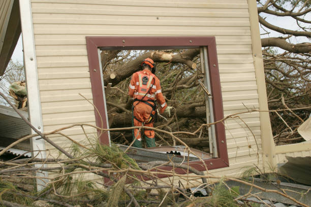 How Our Tree Care Process Works  in  Walnut, CA